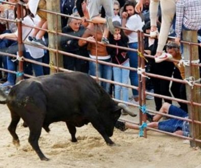 Festas de São Francisco – Confraternização Camponesa