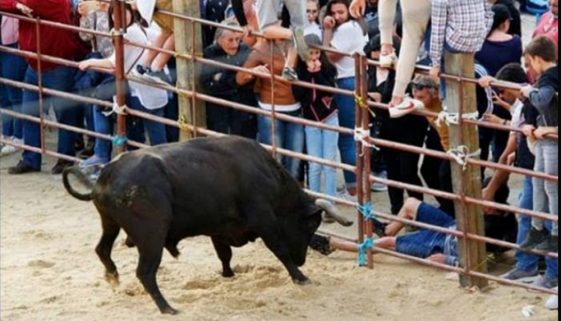 Festas de São Francisco – Confraternização Camponesa
