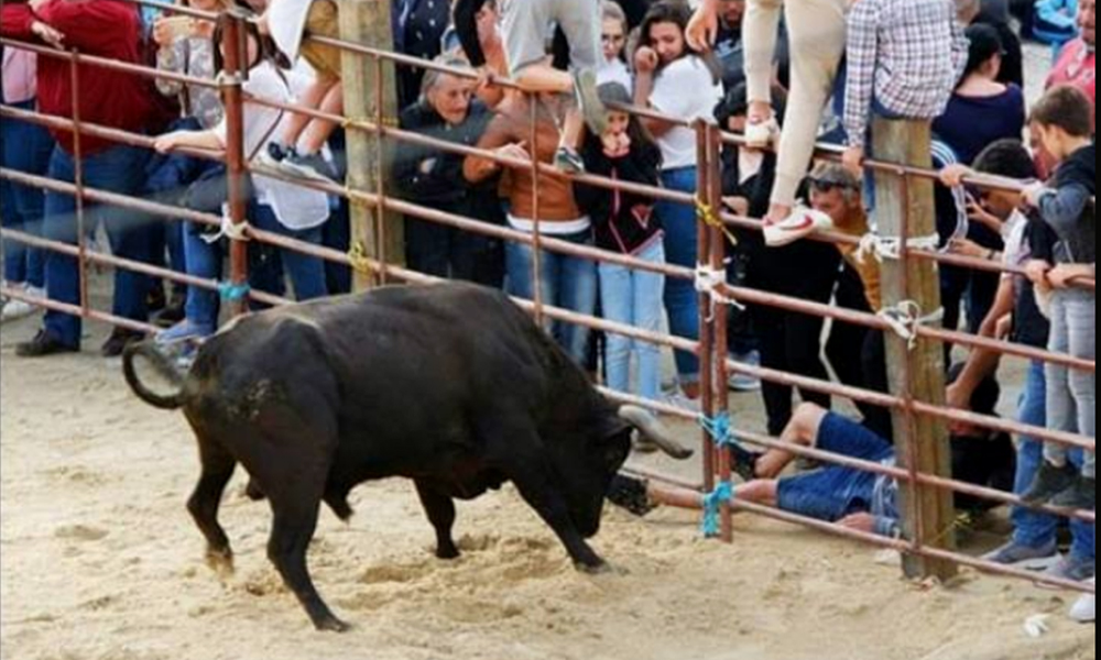 Festas de São Francisco – Confraternização Camponesa